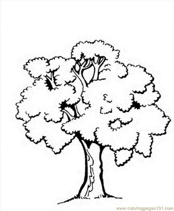 Trees With Leaves Printable Coloring Pages