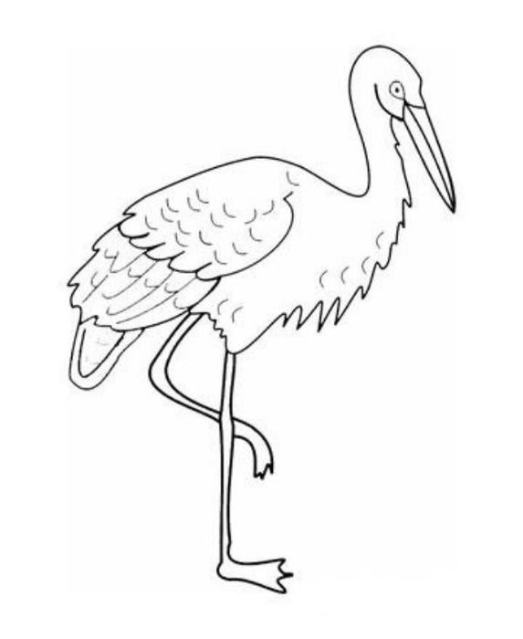 Crane Bird N2