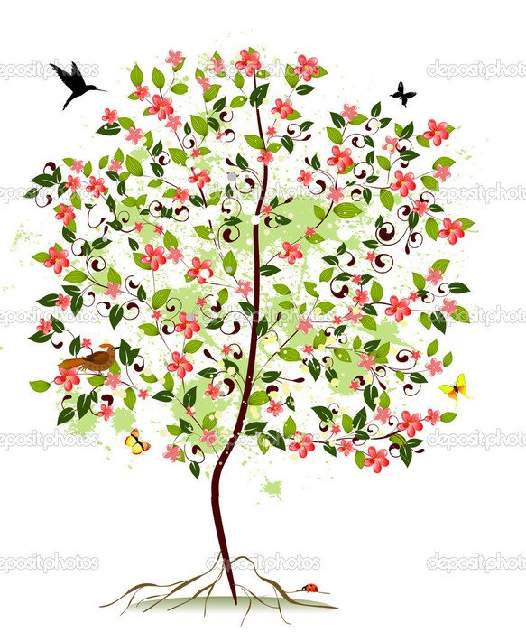 apple blossom tree N39