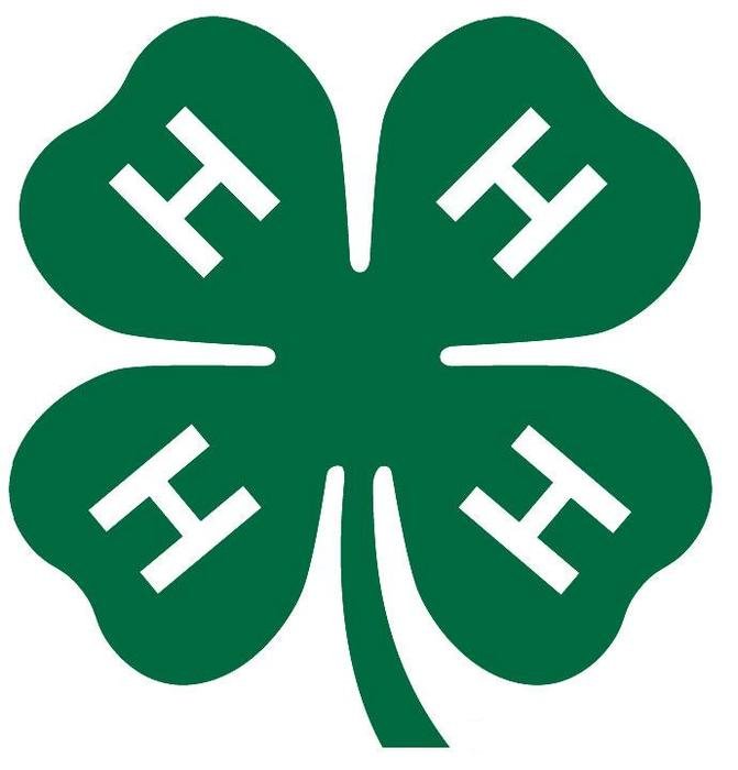 4 H Clover Clip Art N12