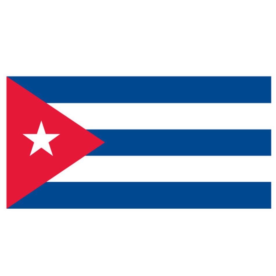 Puerto Rico Flag N23