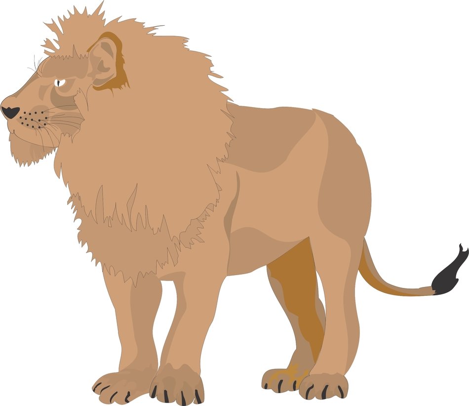 Cartoon Lion N17