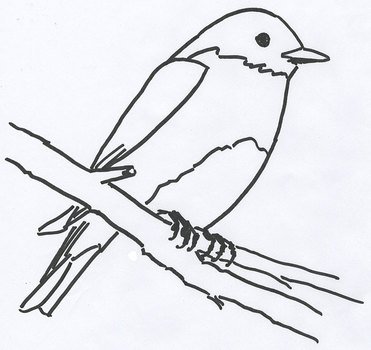 Free Bird Patterns For Painting