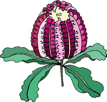 Clip Art raquo Plants