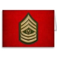 Sergeant Major Of The Army Rank Insignia N4