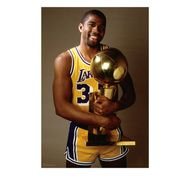 Magic Johnson Trophy Room