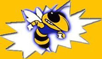 Bryant High School Hornets Logo drawing