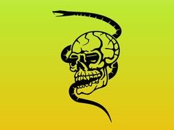 Snakes And Skulls Vector Art drawing