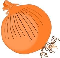 Onion Clip Art N58