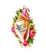 Victorian Shell Clip Art N2