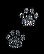 sparkling animal footprints as a picture for clipart