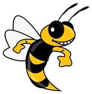 Yellow Jacket Cartoon N3