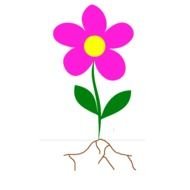 Flower With Roots N2