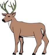 drawing of a brown deer with horns on a white background