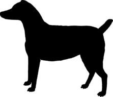 black silhouette of a peasant dog