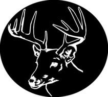 Deer Clip Art N75