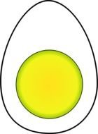 Hard Boiled Eggs drawing