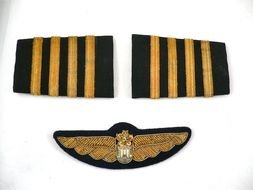 Clip art of Airline Pilot Wings