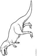 T Rex Coloring Pages N3