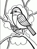 sparrow painted in a coloring book