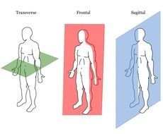 Sagittal Plane Movement as graphic illustration