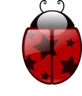Ladybird Clip Art N2