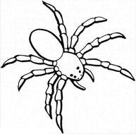 Spider Coloring Pages N2