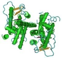 receptor de estrogenos