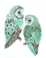 Pretty Owl Drawings