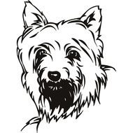 Terrier Dog Coloring Page drawing