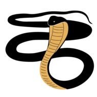 Cobra Graphic Inage