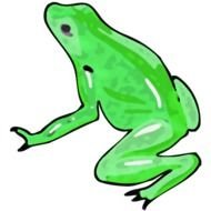 Frog Clip Art N168