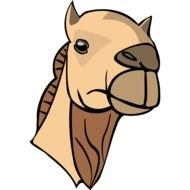 Clip art of Camel's head