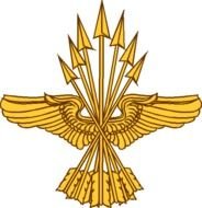 US Army Branch Insignia