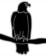 Bald Eagle Head Silhouette N2