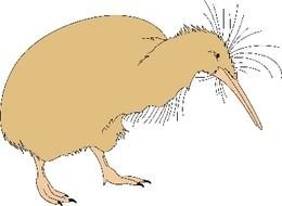 Kiwi Bird Clip Art N14
