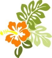 Orange Hibiscus Flower Clip Art N3