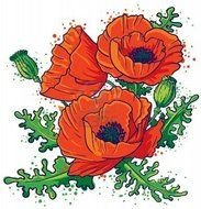 painted red poppies in a book