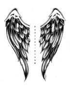 Angel Wings Drawings N3