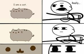 Pusheen Cat N5