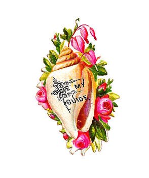 Victorian Shell Clip Art N2