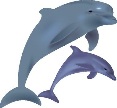 Cartoon Dolphin Clip Art N33