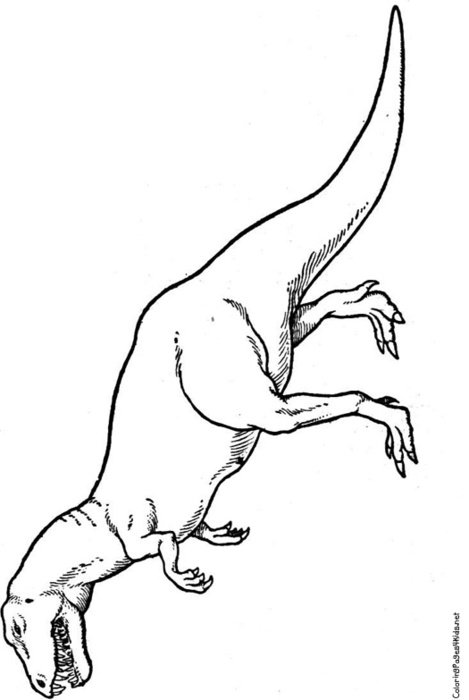 T Rex Coloring Pages N3