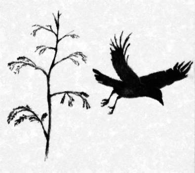 Crow Drawing Sketch