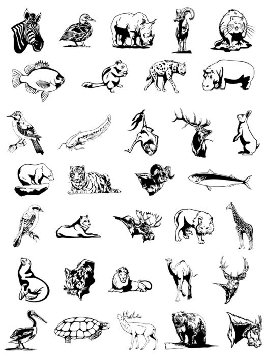 Black And White Animal Clip Art N19