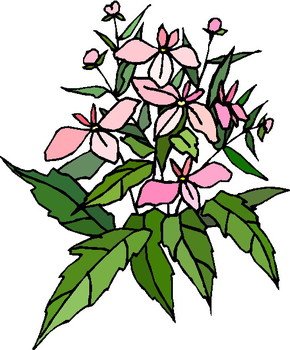 Clip Art Bushes Shrubs