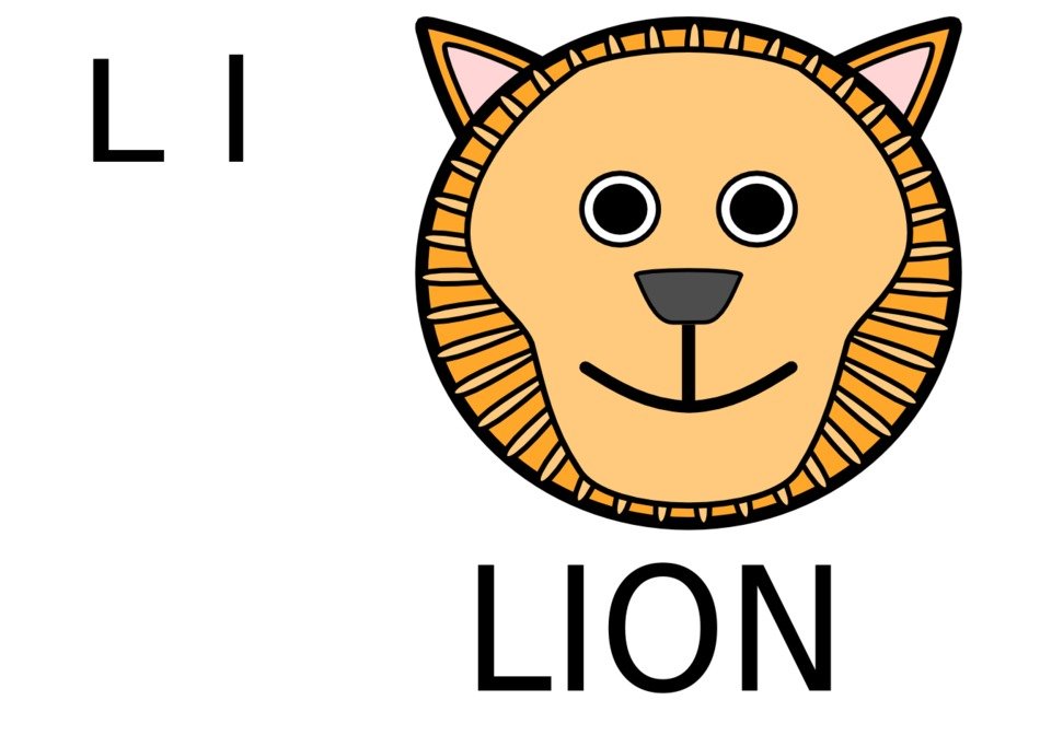 li lion drawing