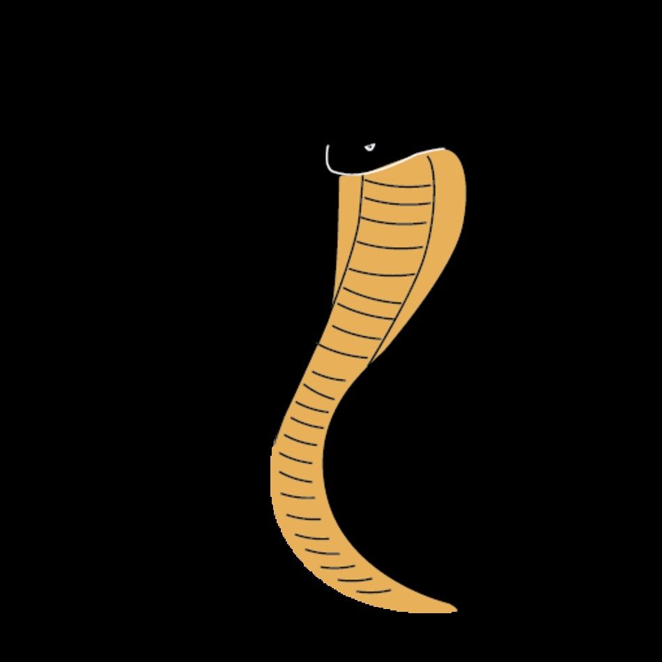 Cobra Graphic Inage