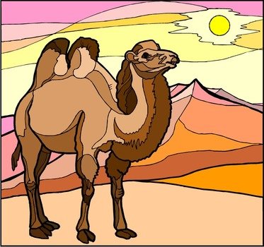 Camel Clip Art N70