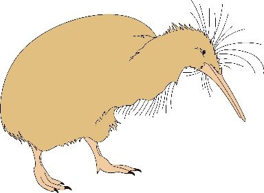 Kiwi Bird Clip Art N14